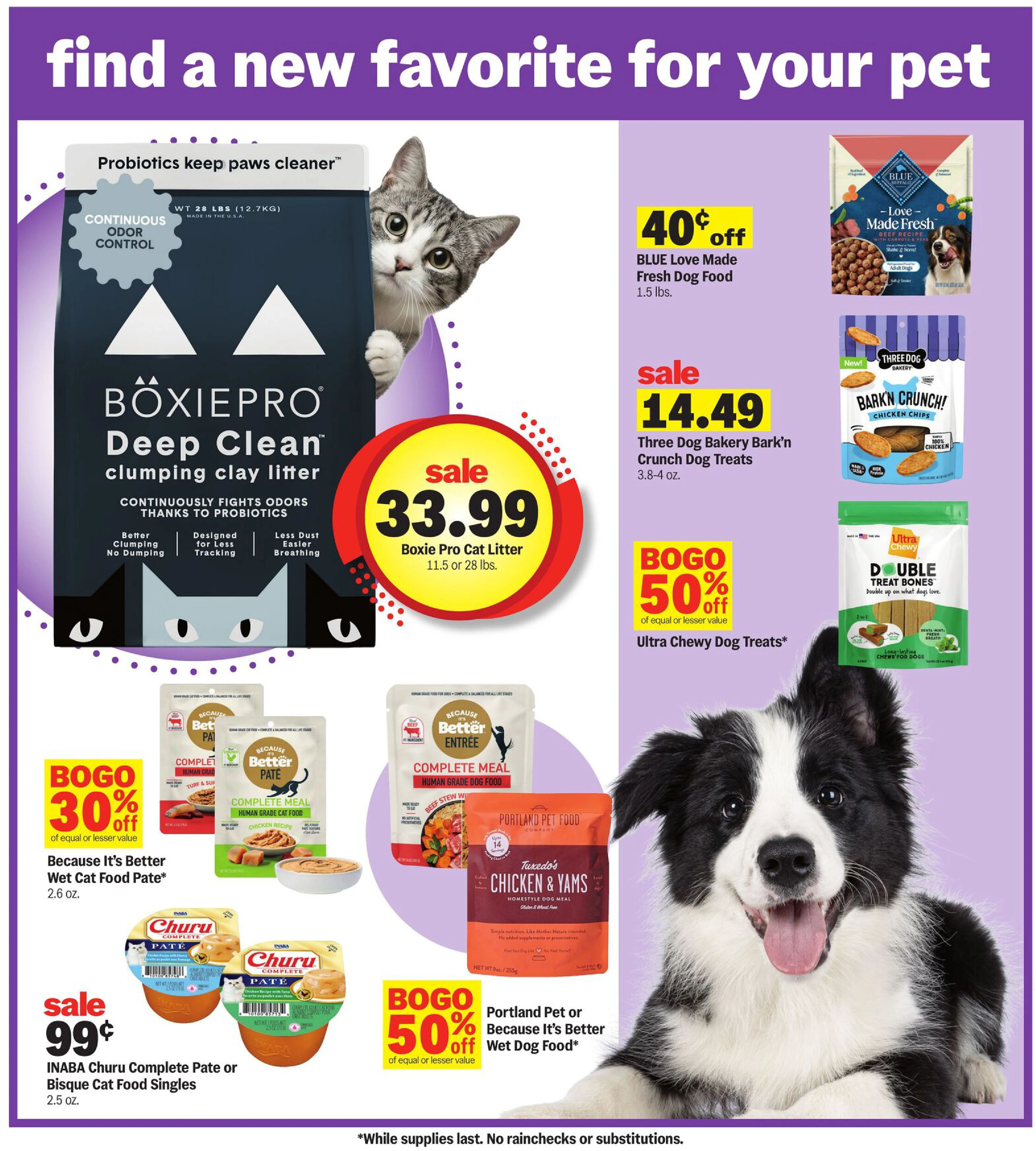 Flyer page 31