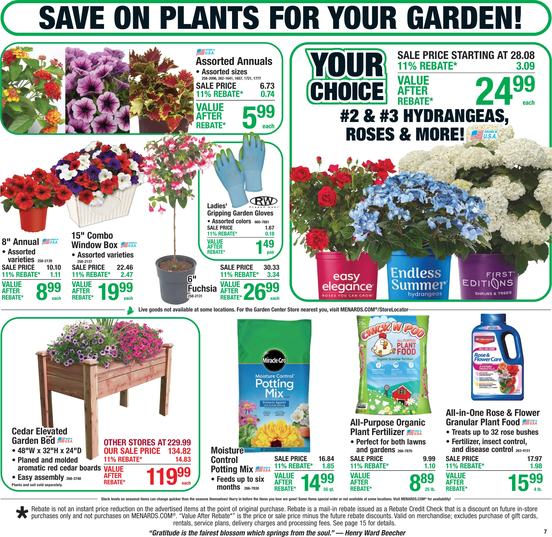 Flyer page 10