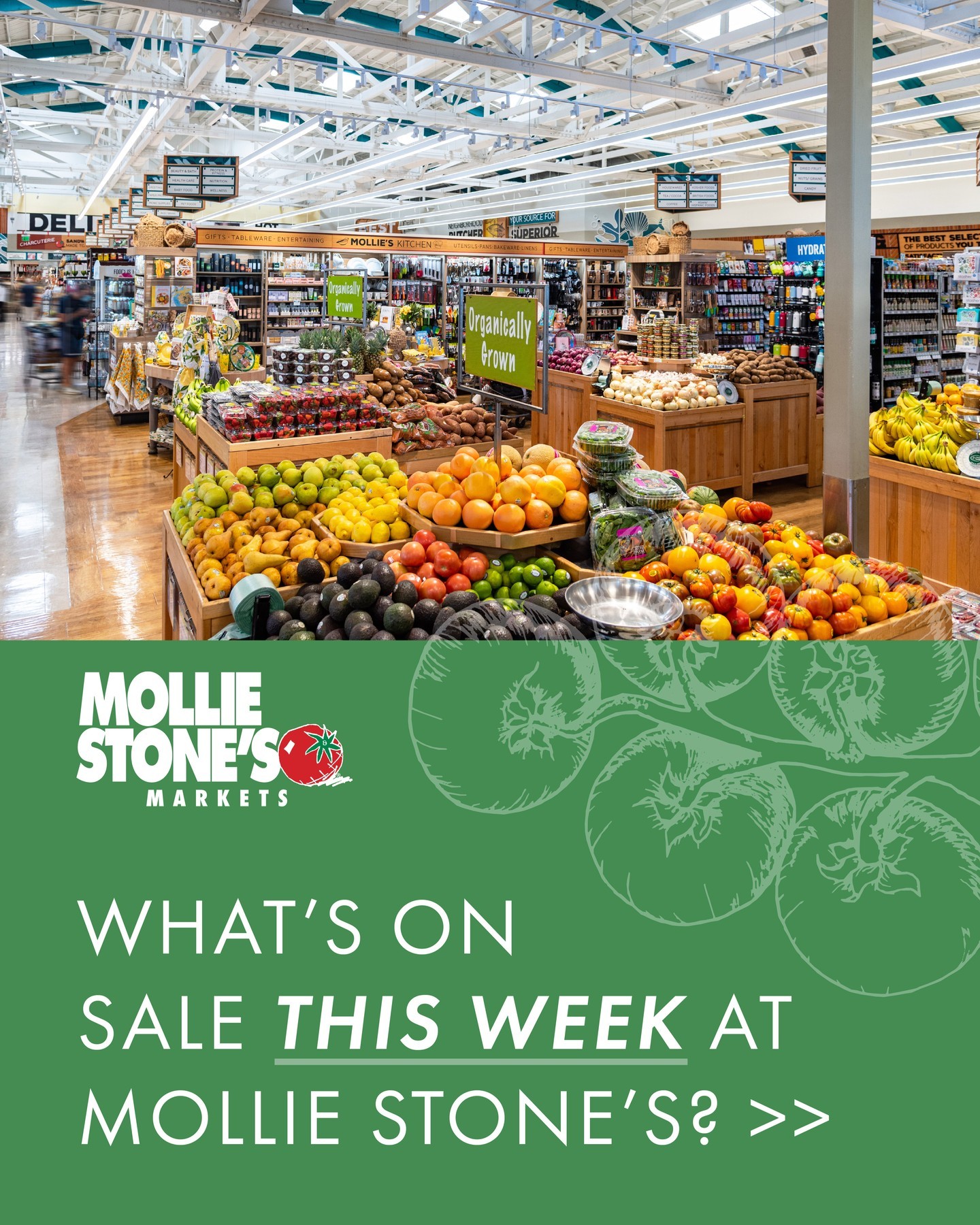 Mollie Stone's Markets