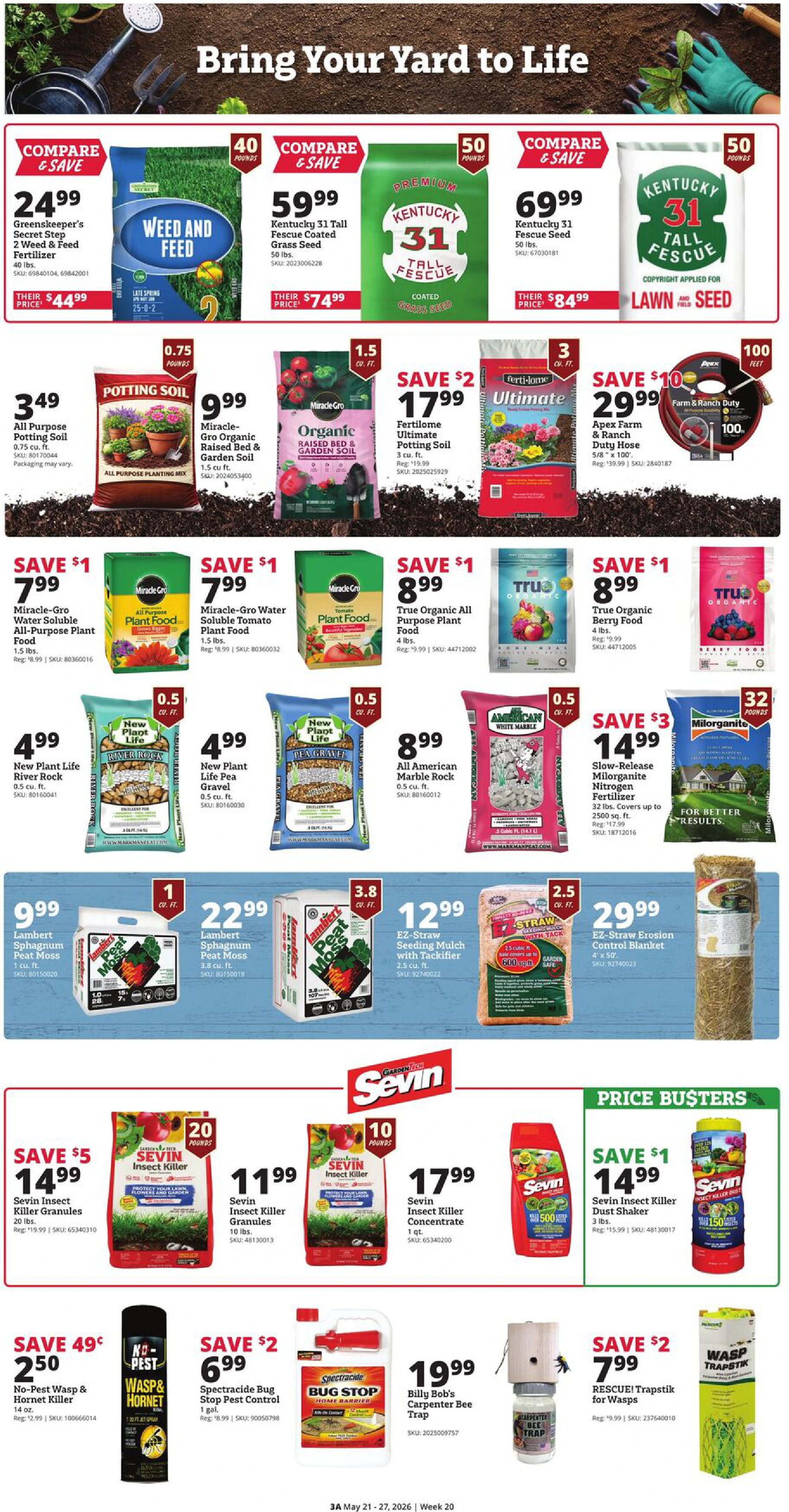 Flyer page 3