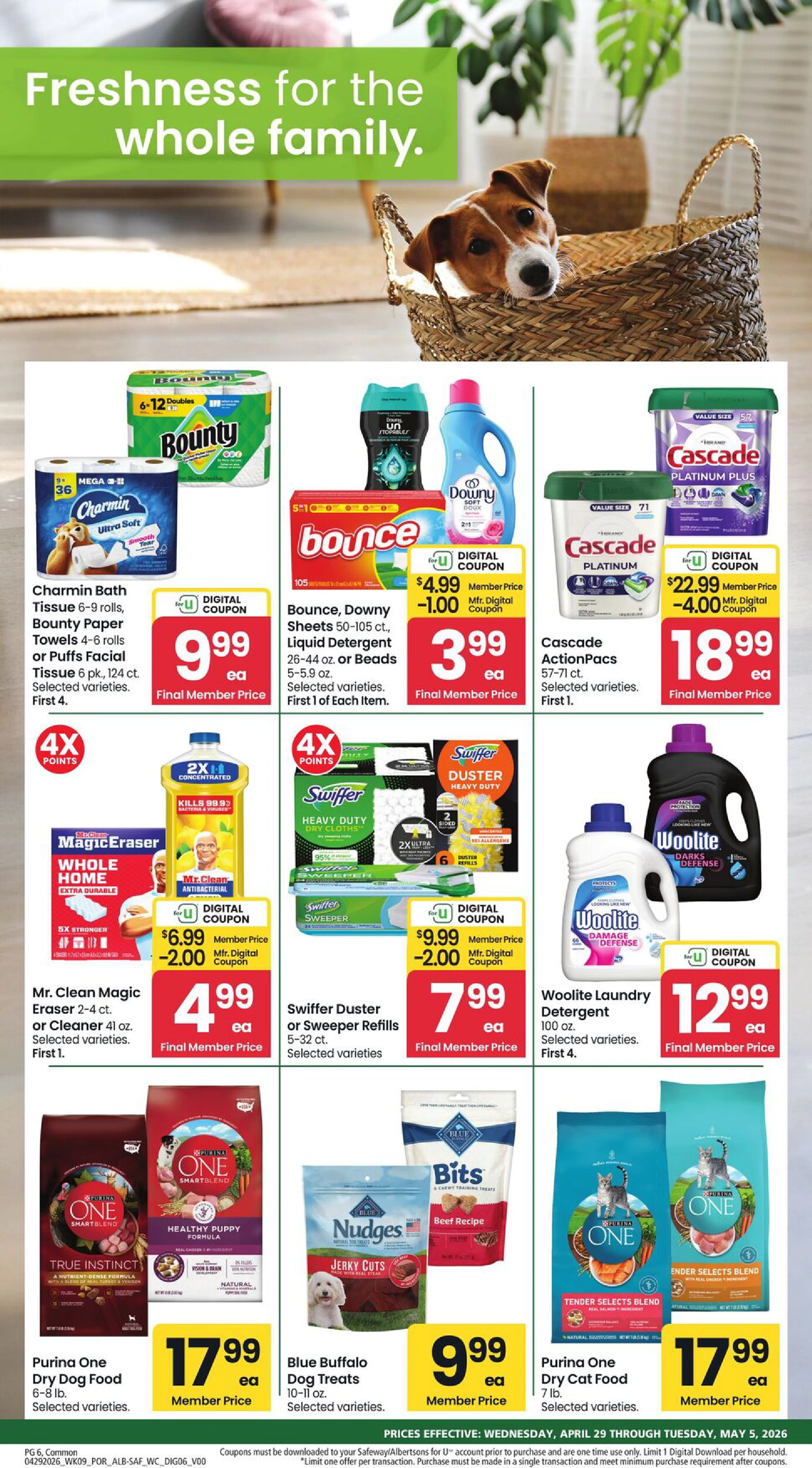 Flyer page 5