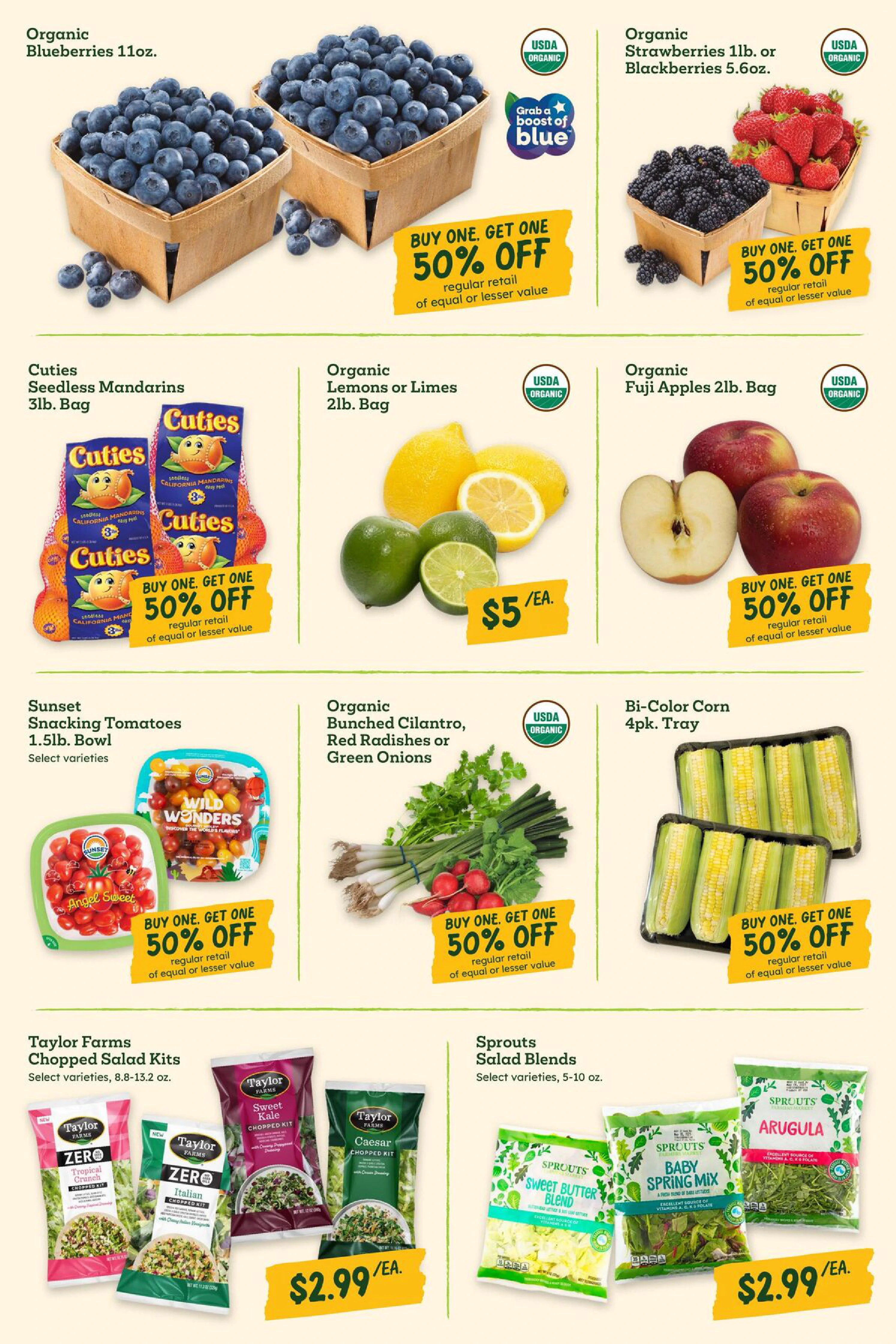 Flyer page 6