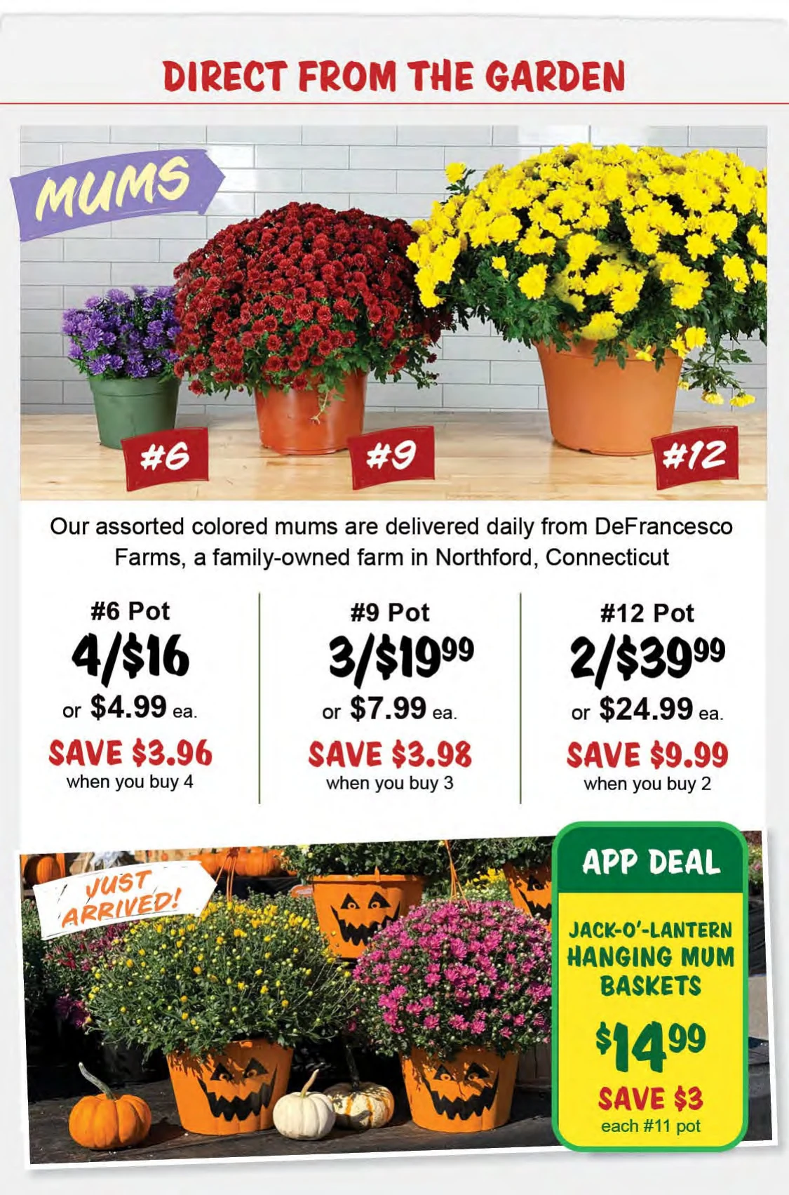 Stew Leonard's Weekly Ad - Page 19