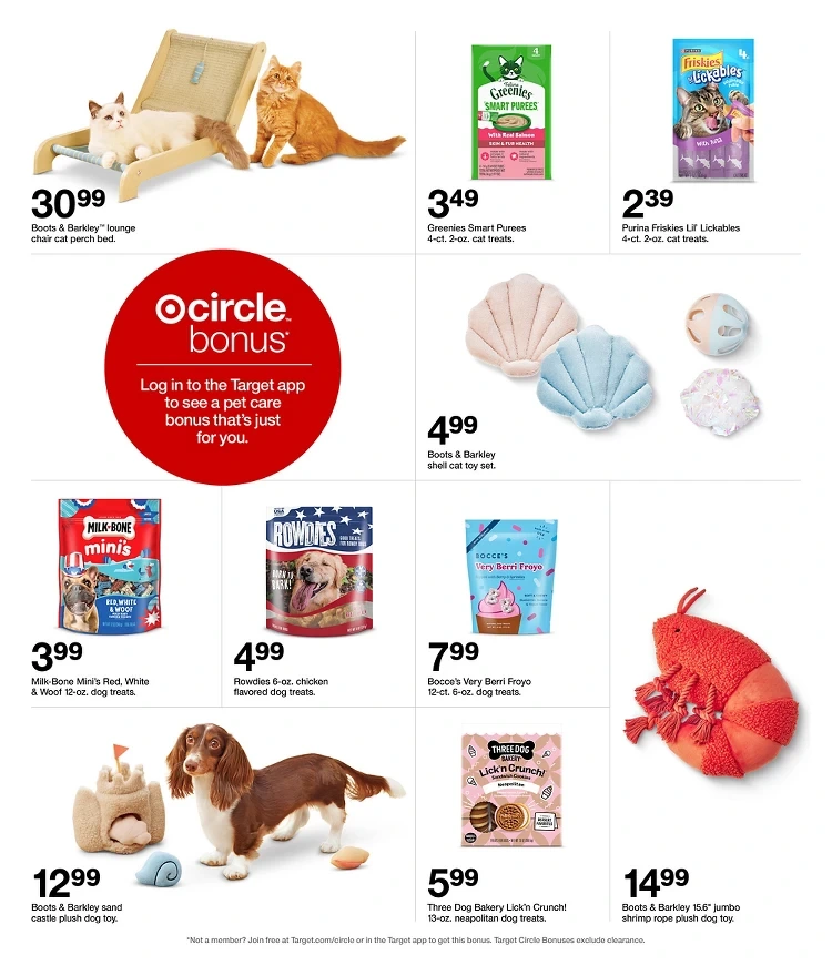 Flyer page 31