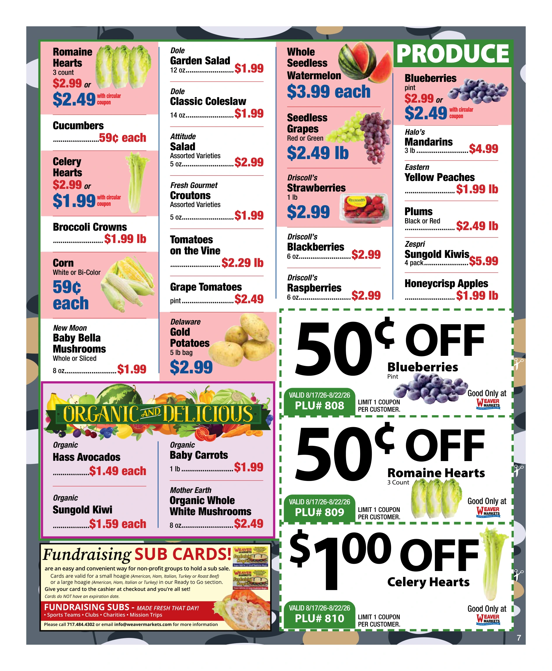 Flyer page 7